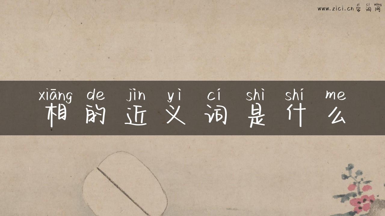 相的近义词是什么