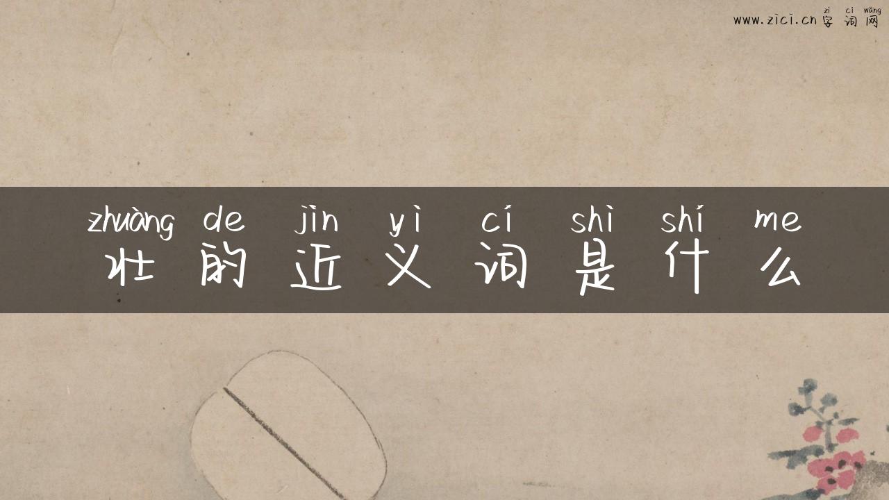 壮的近义词是什么
