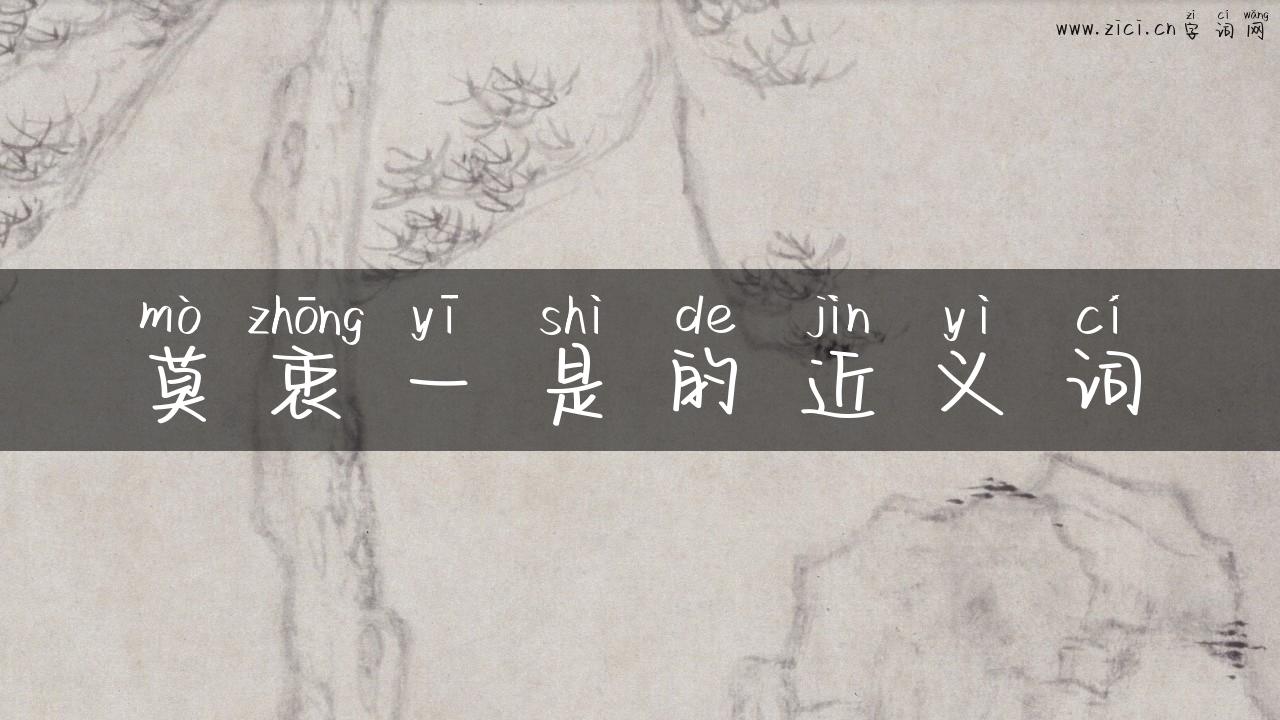 莫衷一是的近义词
