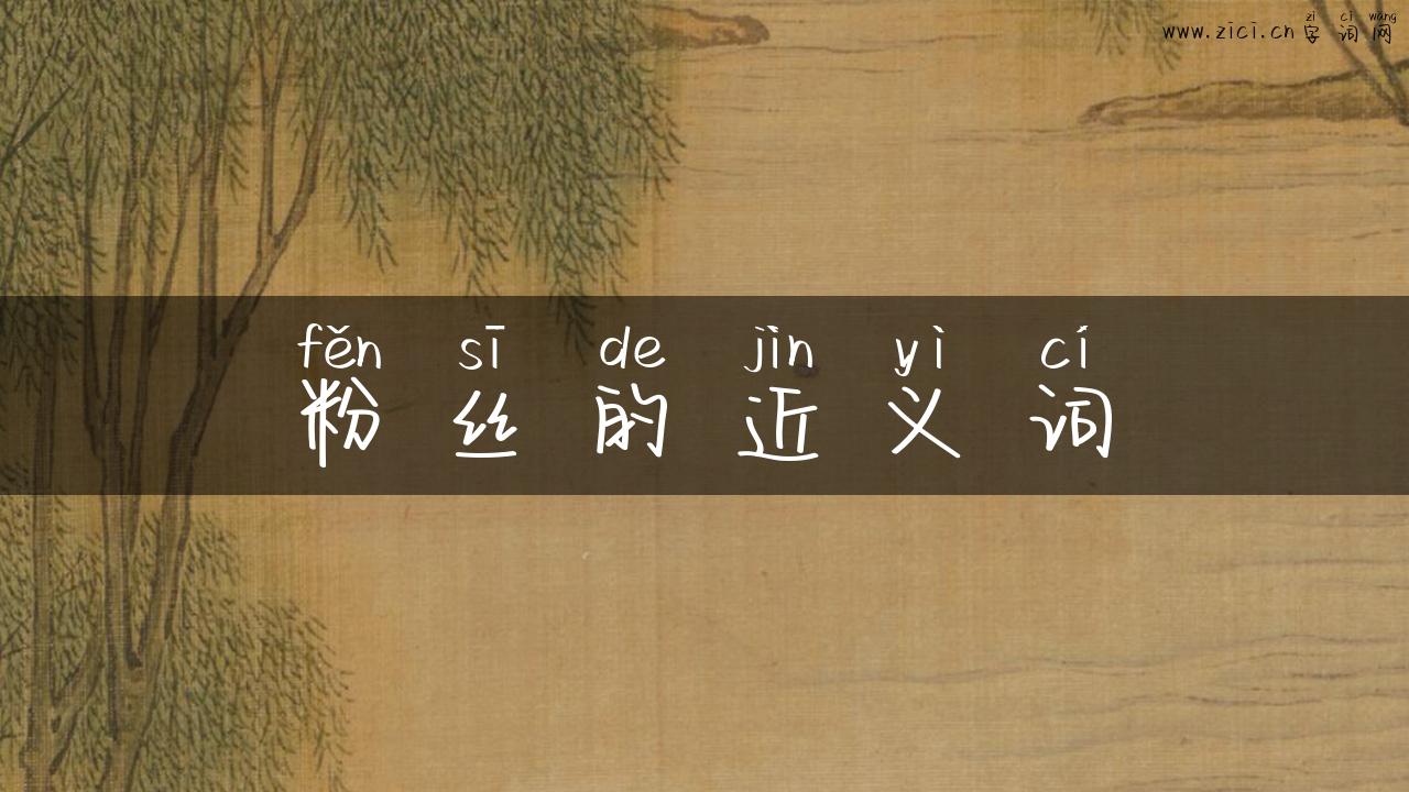 粉丝的近义词