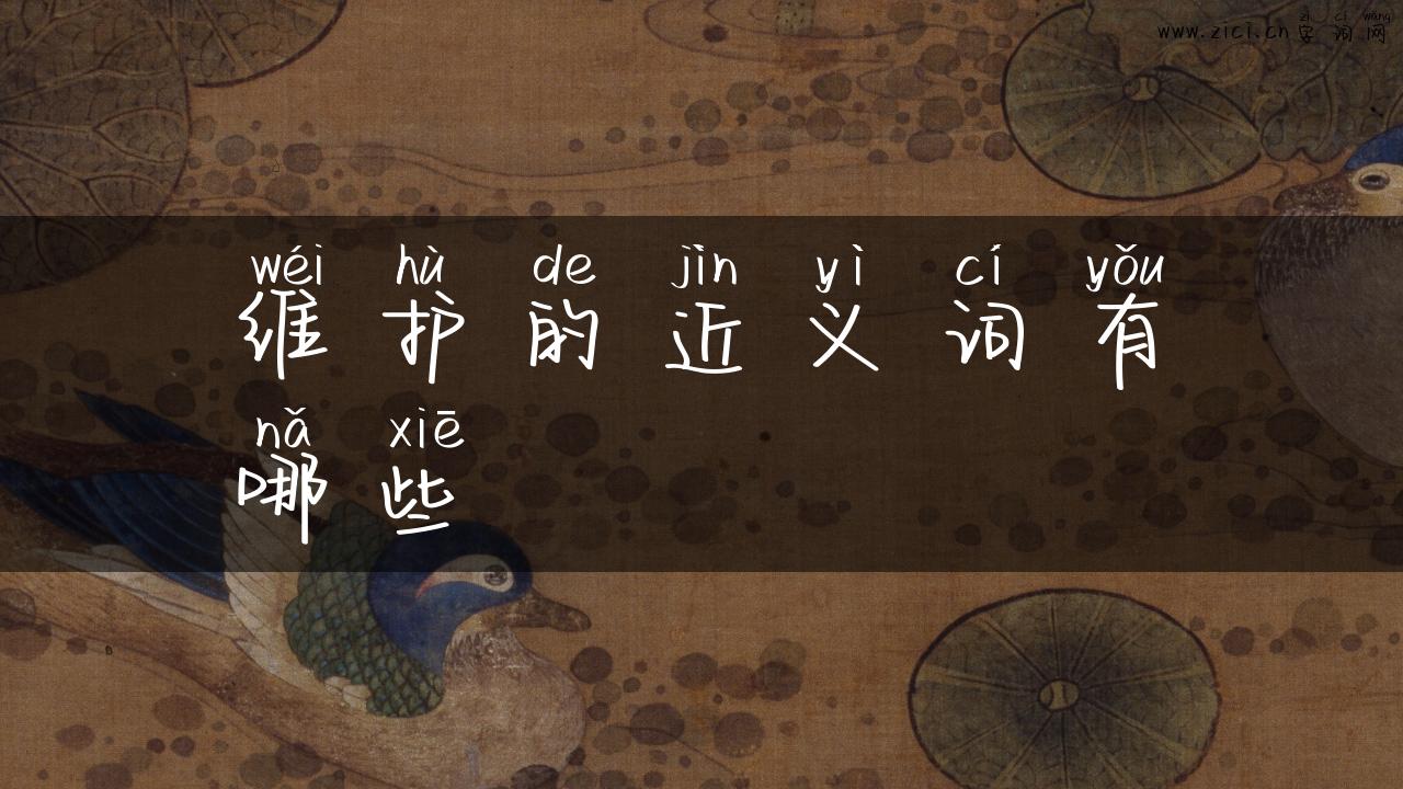 维护的近义词有哪些