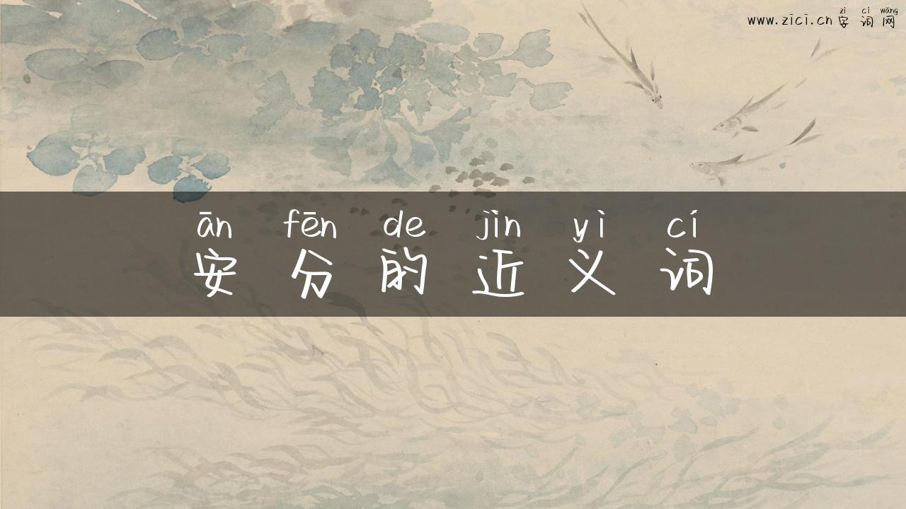 安分的近义词