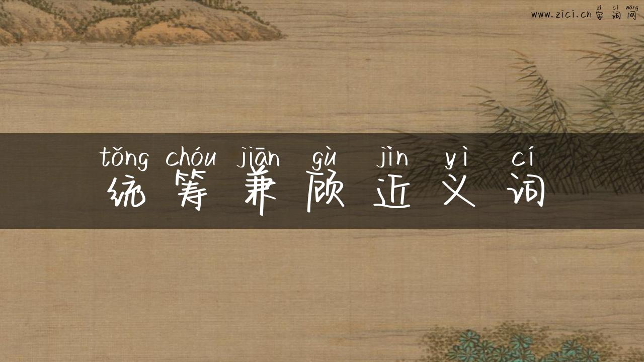 统筹兼顾近义词