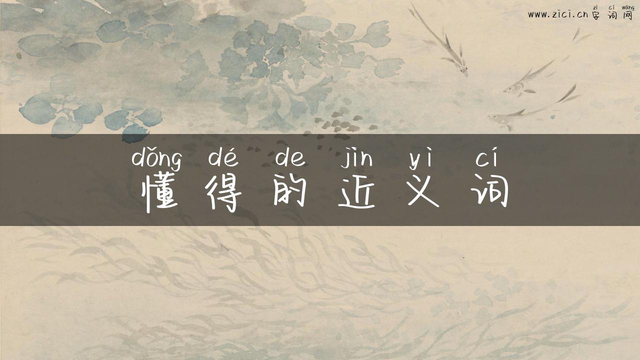 懂得的近义词