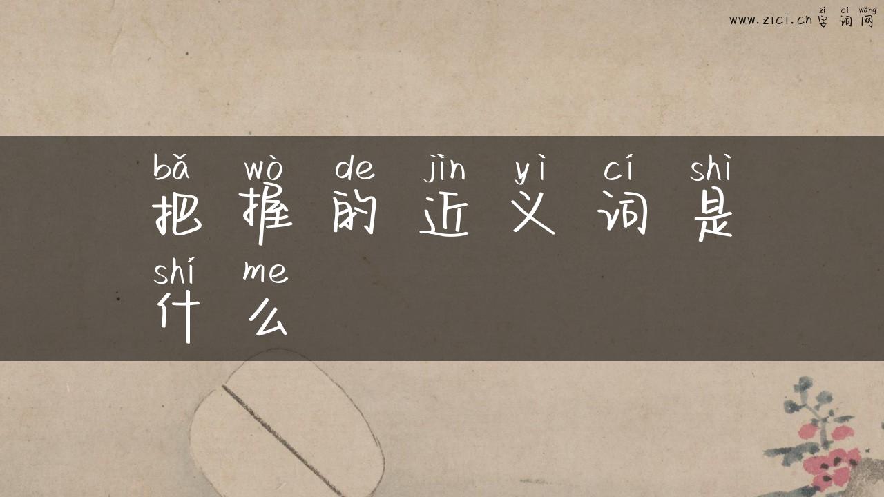 把握的近义词是什么