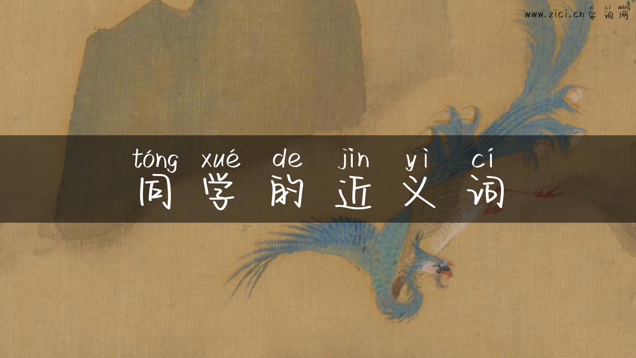 同学的近义词