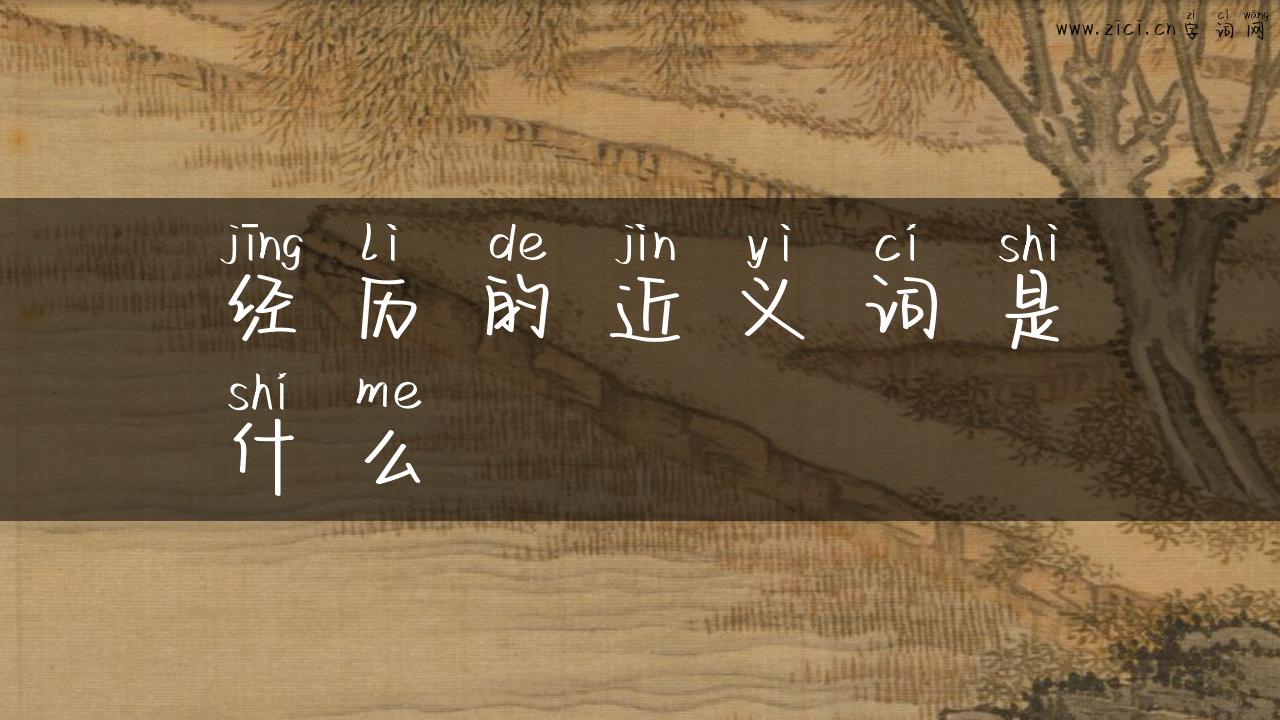 经历的近义词是什么