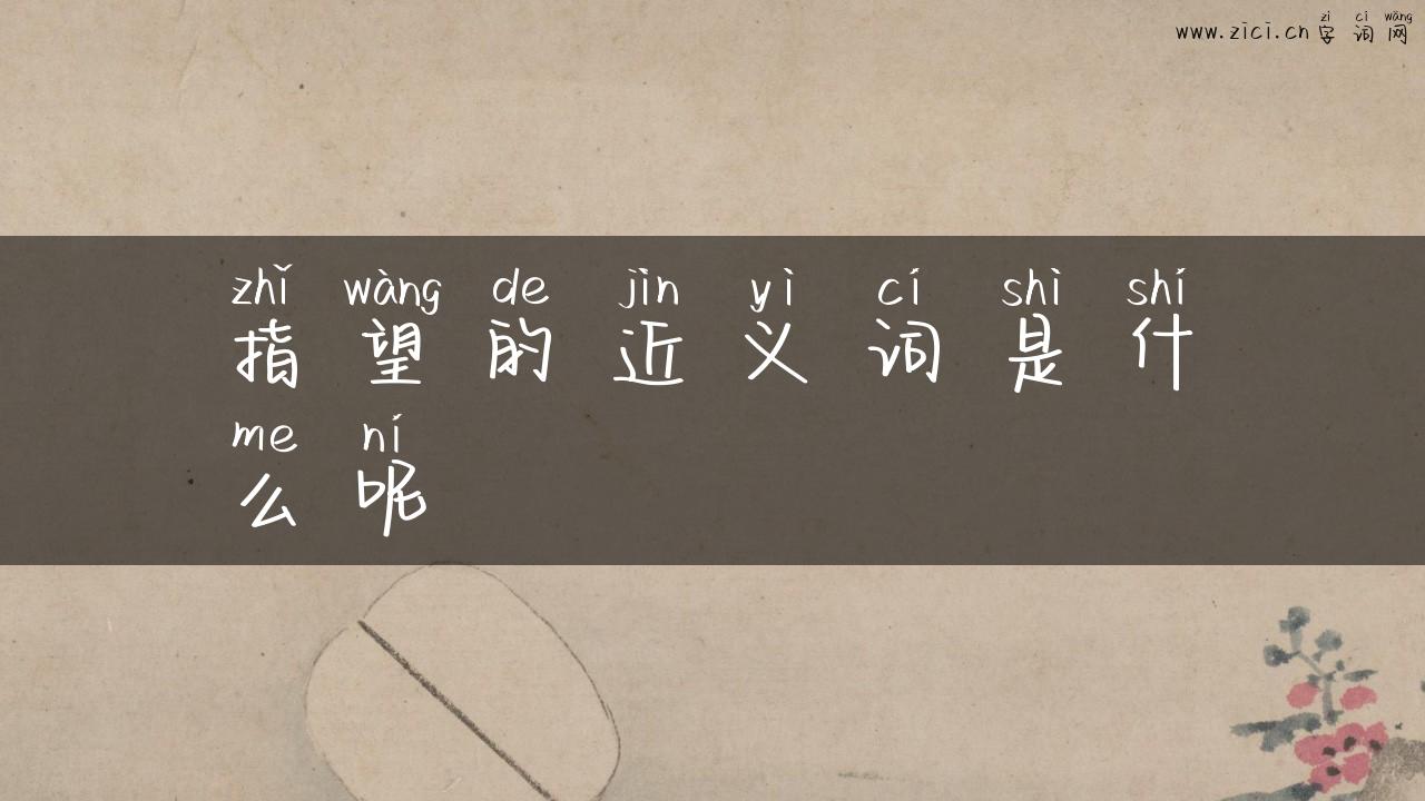 指望的近义词是什么呢