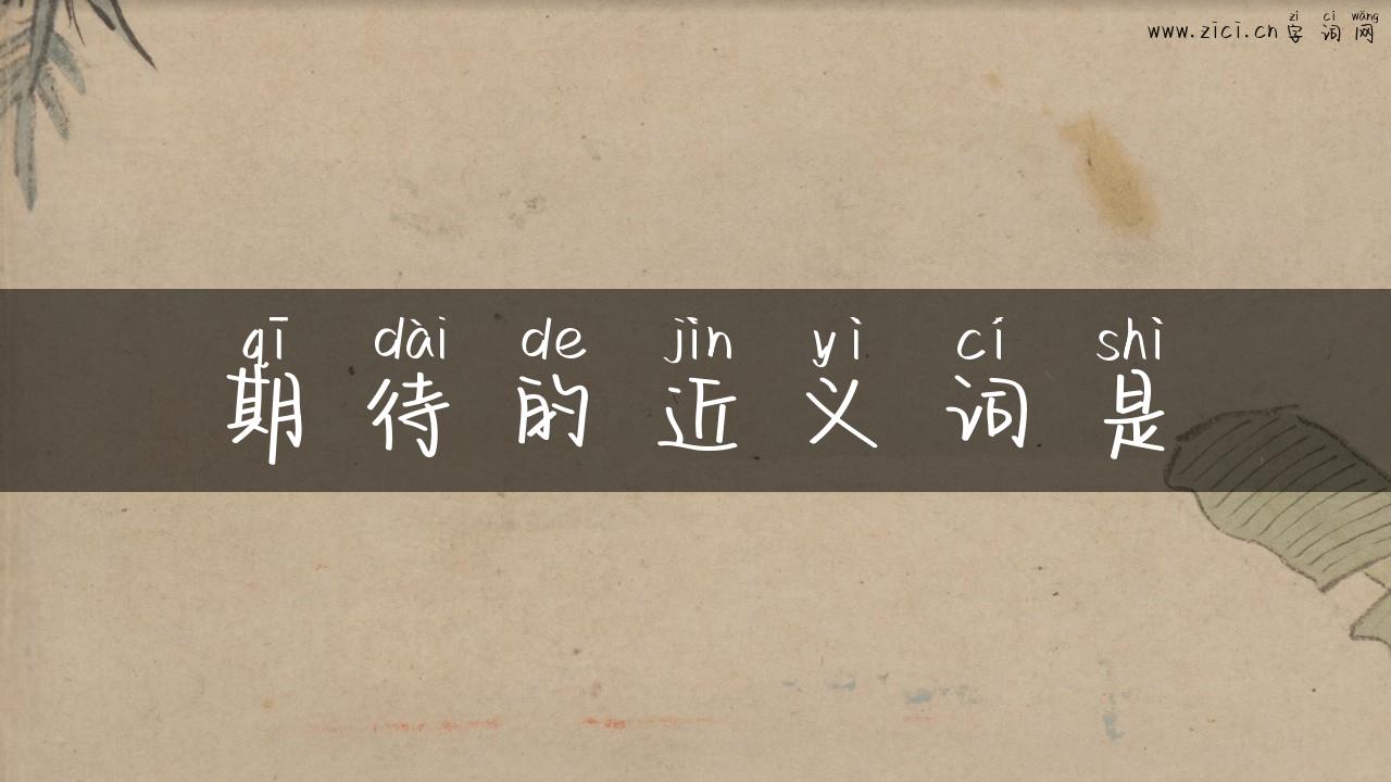 期待的近义词是