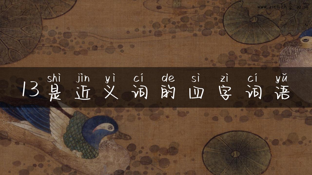 13是近义词的四字词语