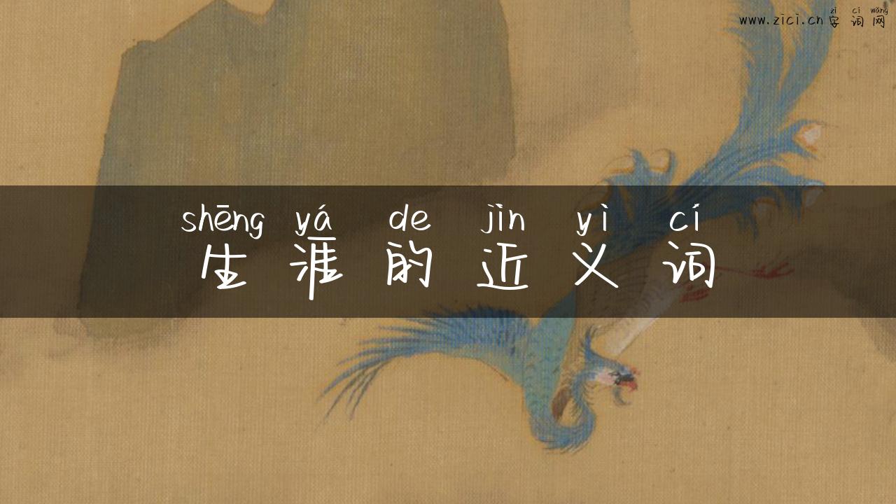 生涯的近义词