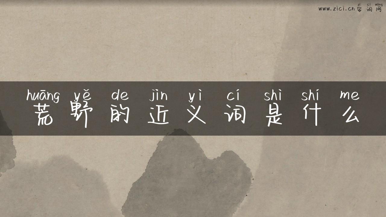 荒野的近义词是什么