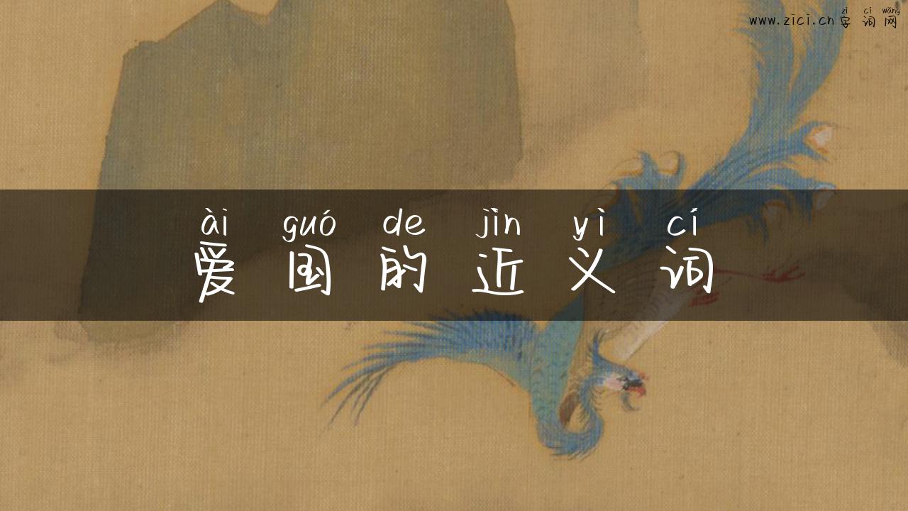 爱国的近义词