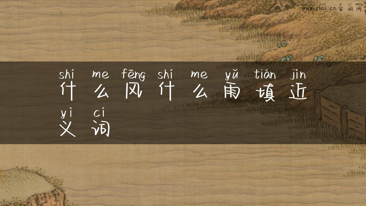 什么风什么雨填近义词