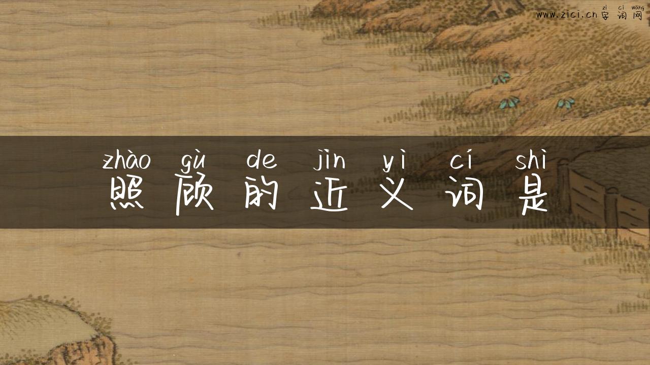 照顾的近义词是