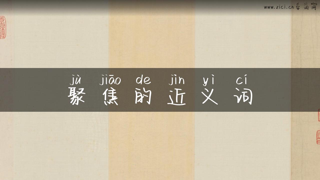 聚焦的近义词