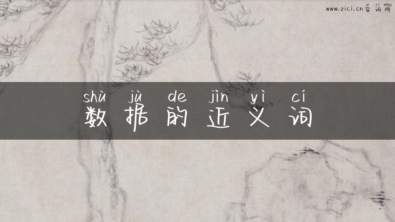 数据的近义词