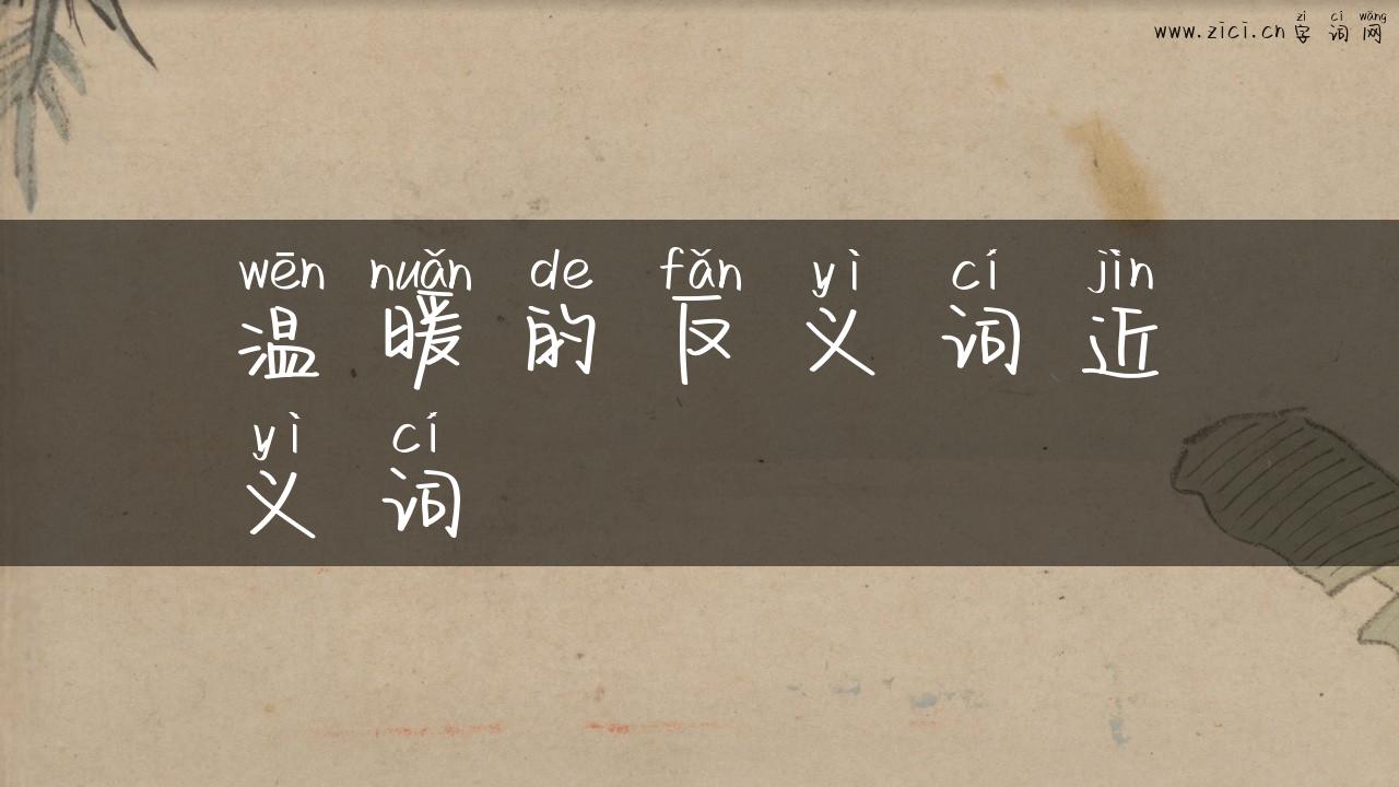温暖的反义词近义词
