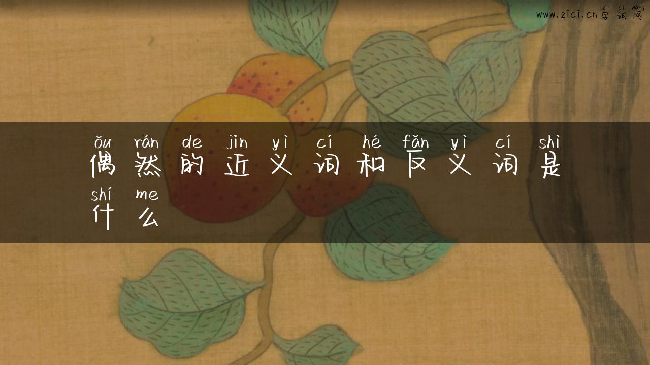 偶然的近义词和反义词是什么