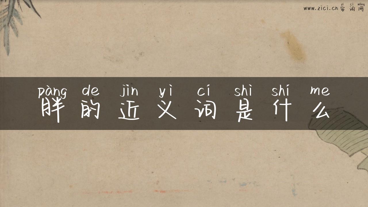 胖的近义词是什么