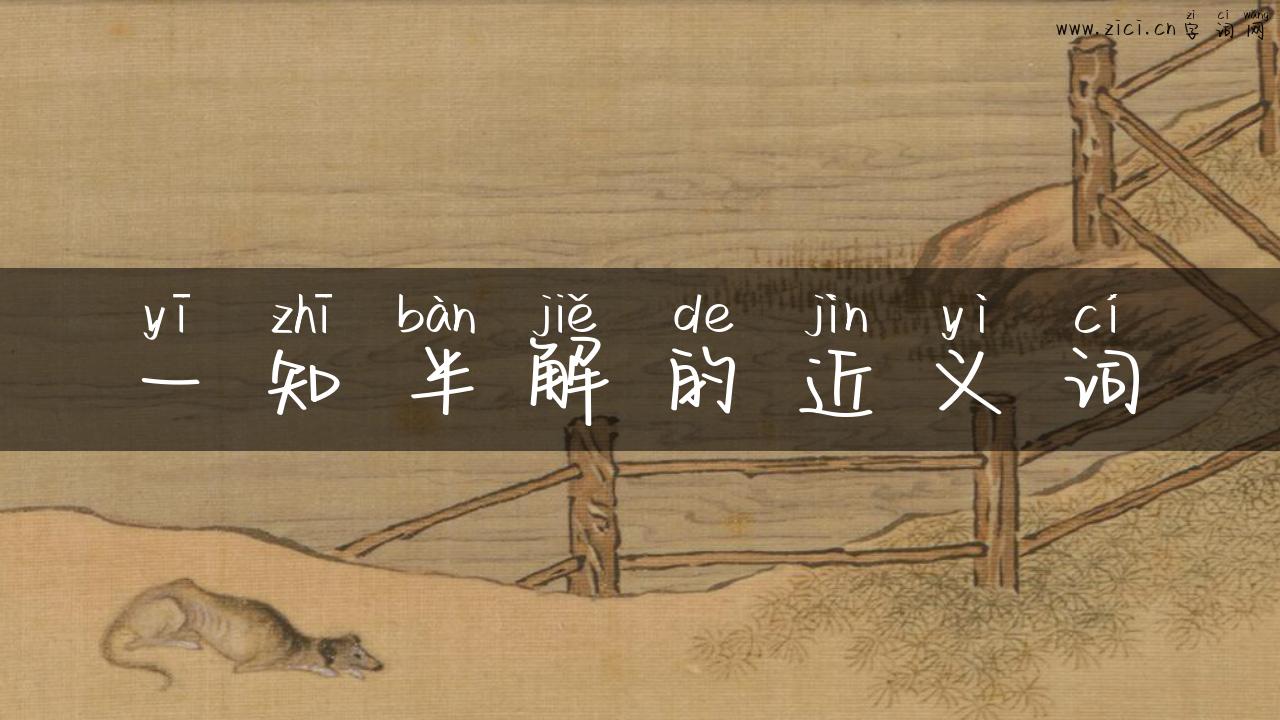 一知半解的近义词
