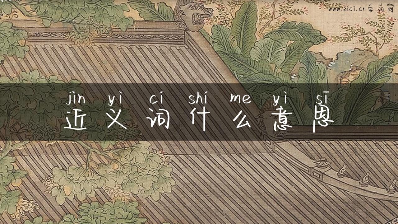 近义词什么意思