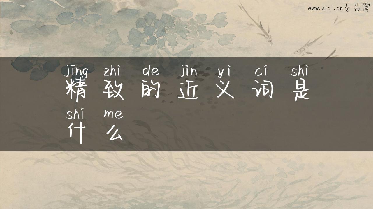 精致的近义词是什么