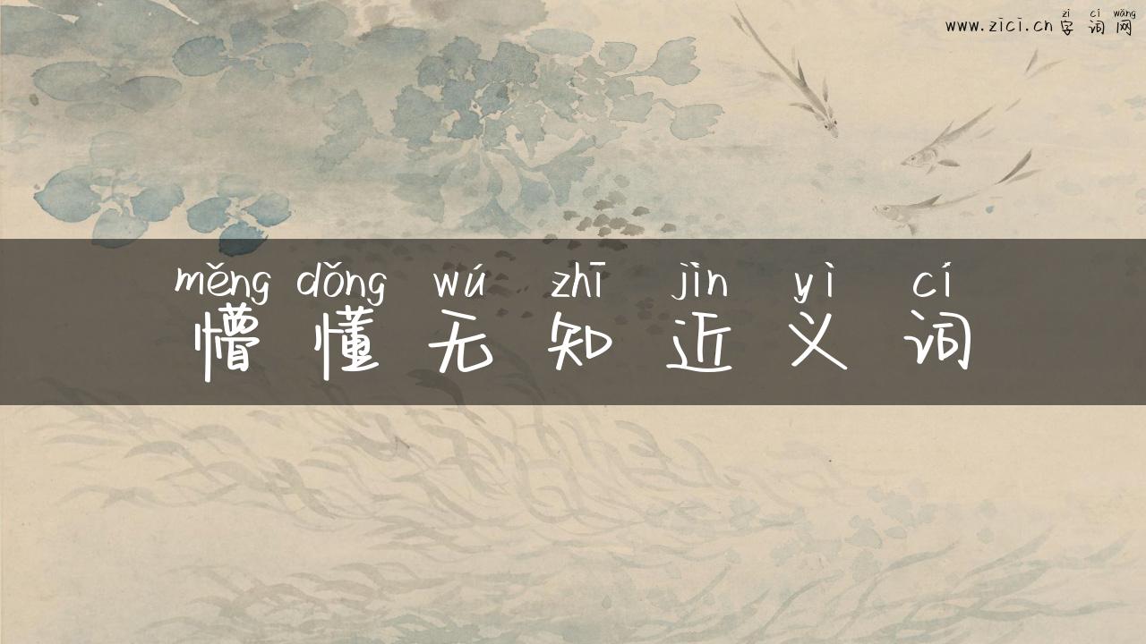 懵懂无知近义词