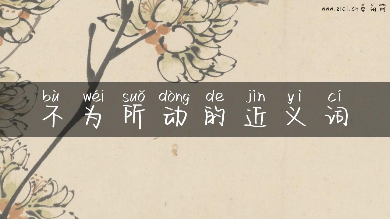 不为所动的近义词