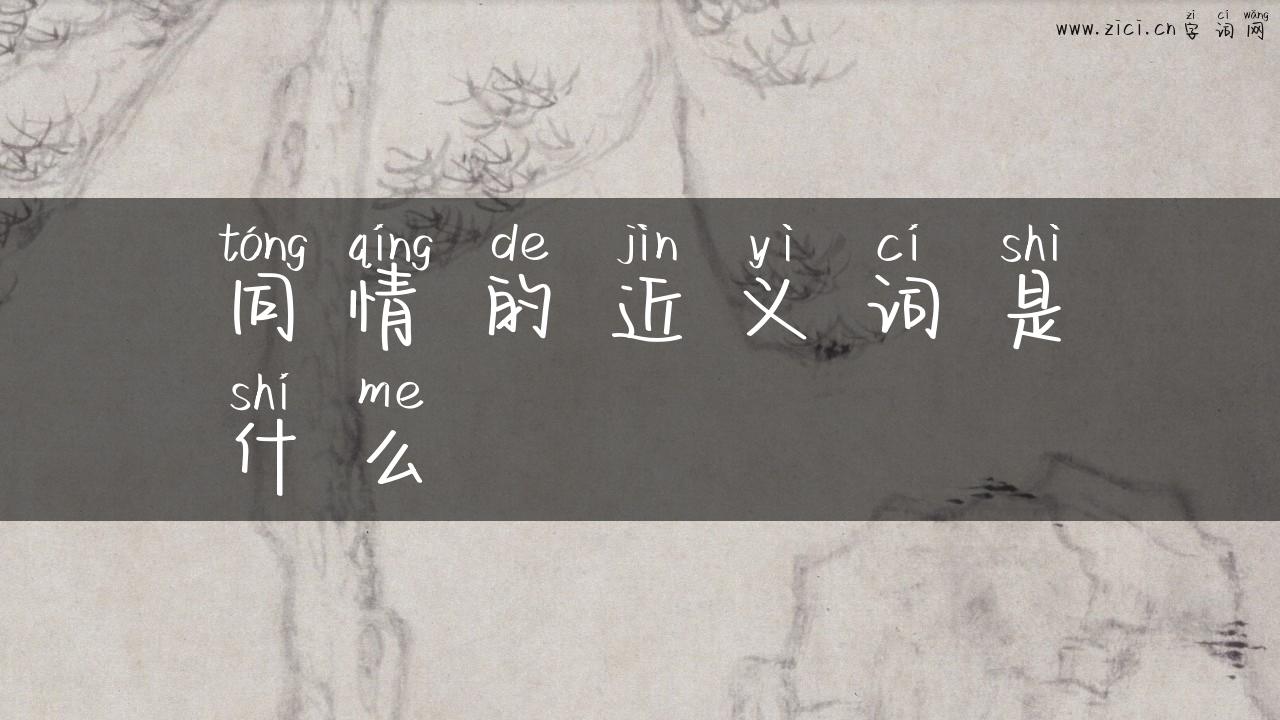 同情的近义词是什么