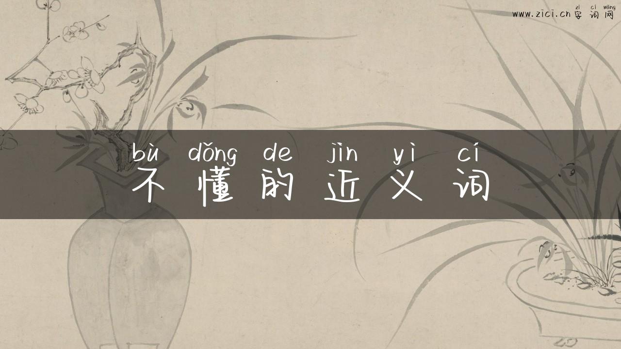 不懂的近义词