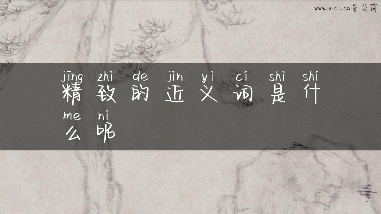 精致的近义词是什么呢