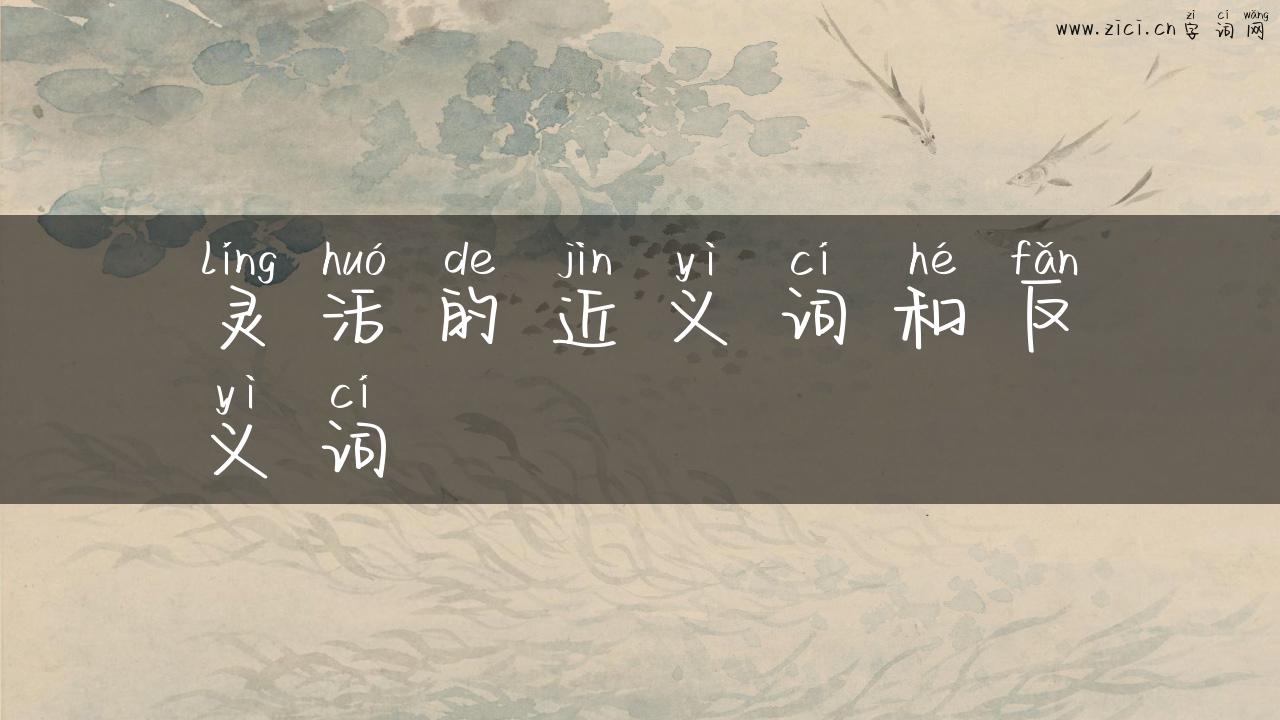 灵活的近义词和反义词