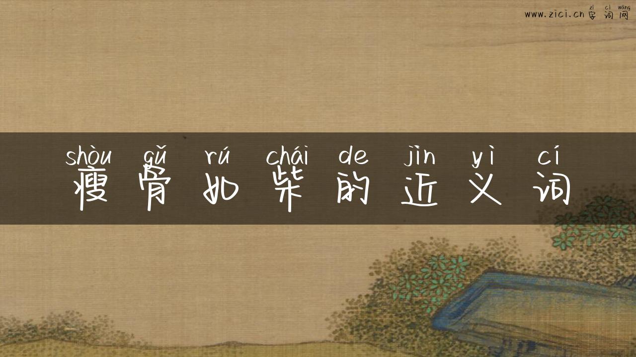 瘦骨如柴的近义词