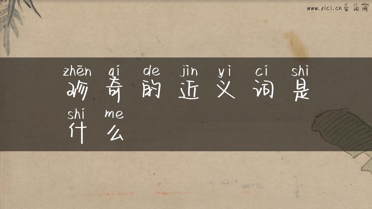 珍奇的近义词是什么
