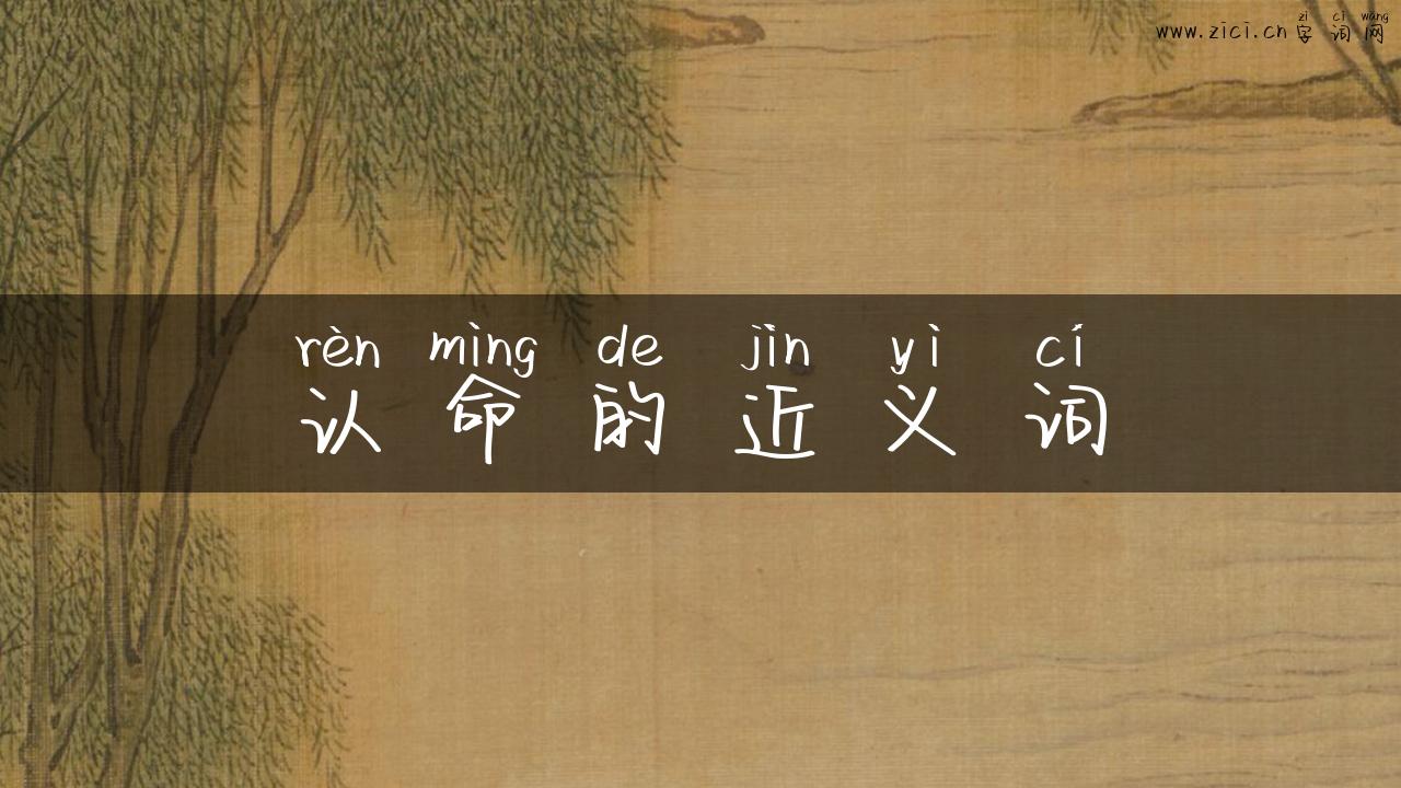 认命的近义词