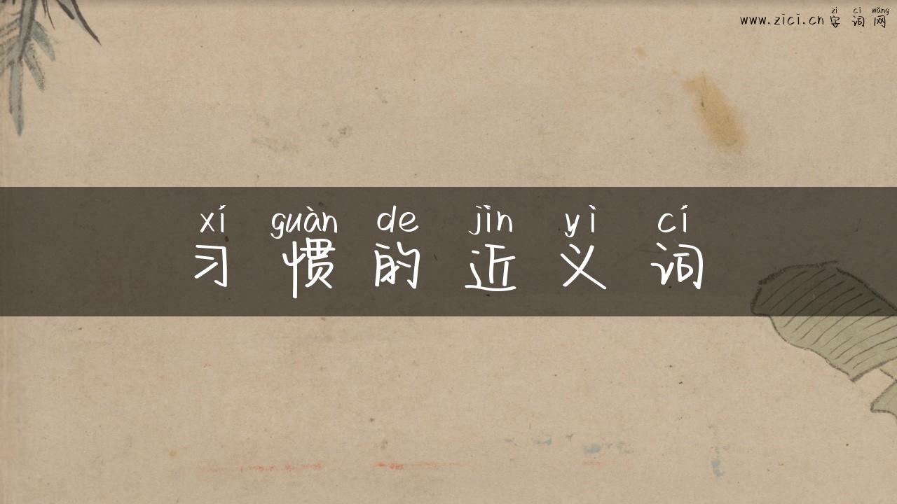 习惯的近义词
