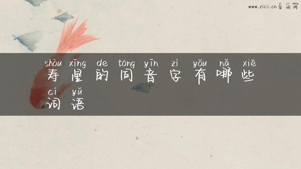 寿星的同音字有哪些词语