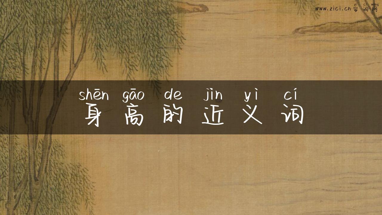身高的近义词