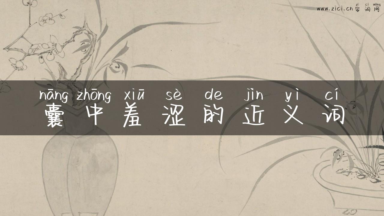 囊中羞涩的近义词