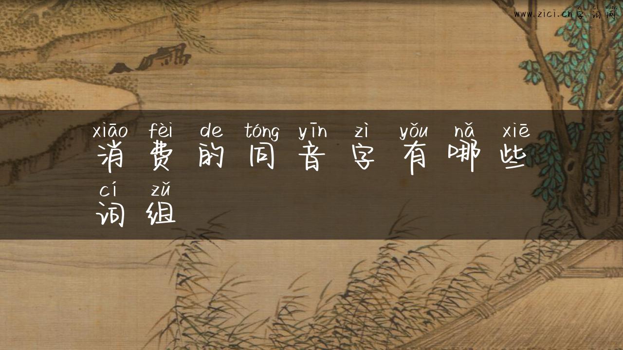 消费的同音字有哪些词组