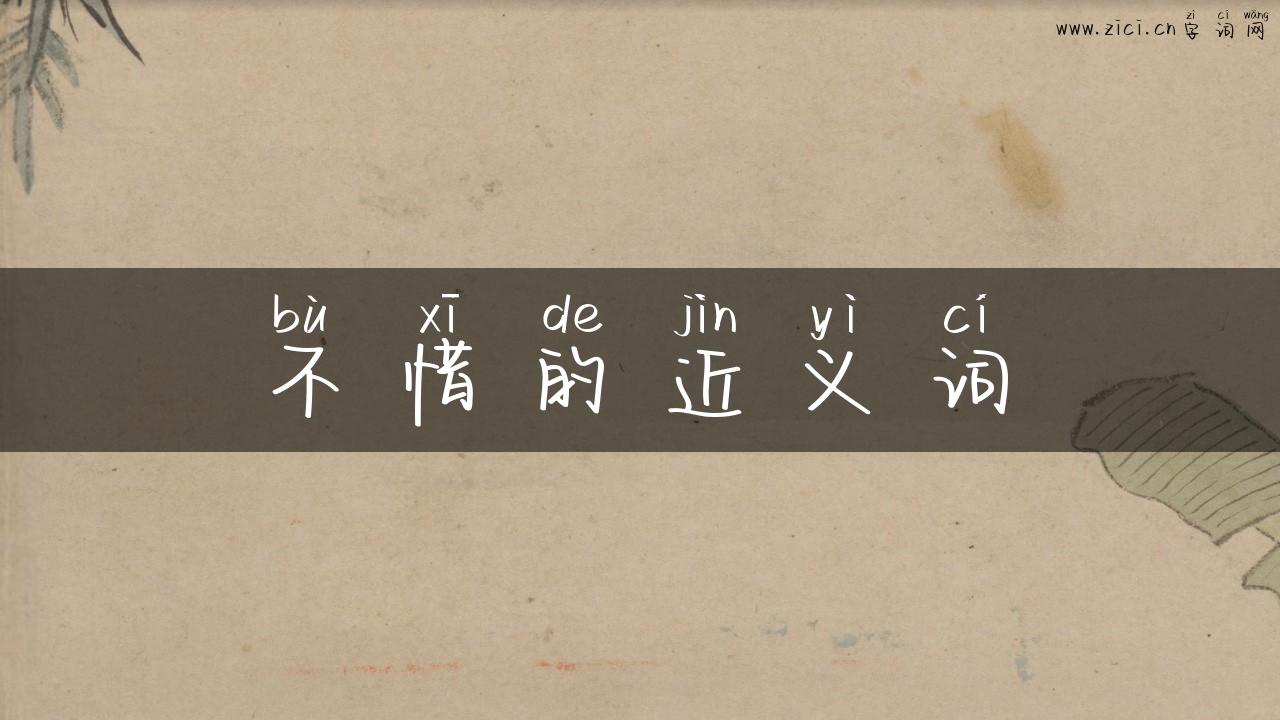不惜的近义词