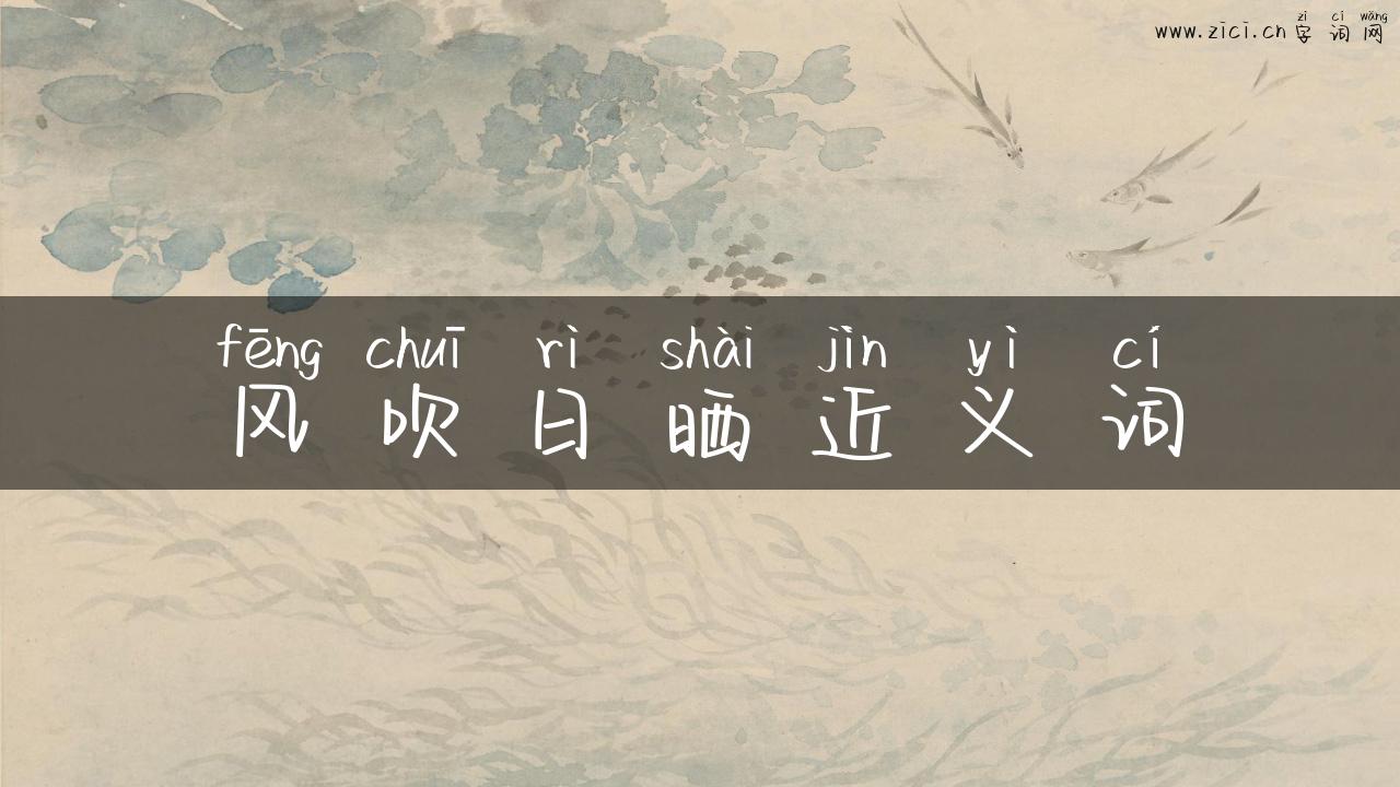 风吹日晒近义词