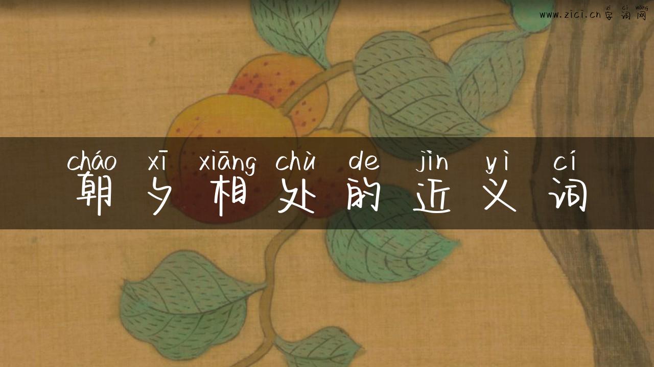 朝夕相处的近义词