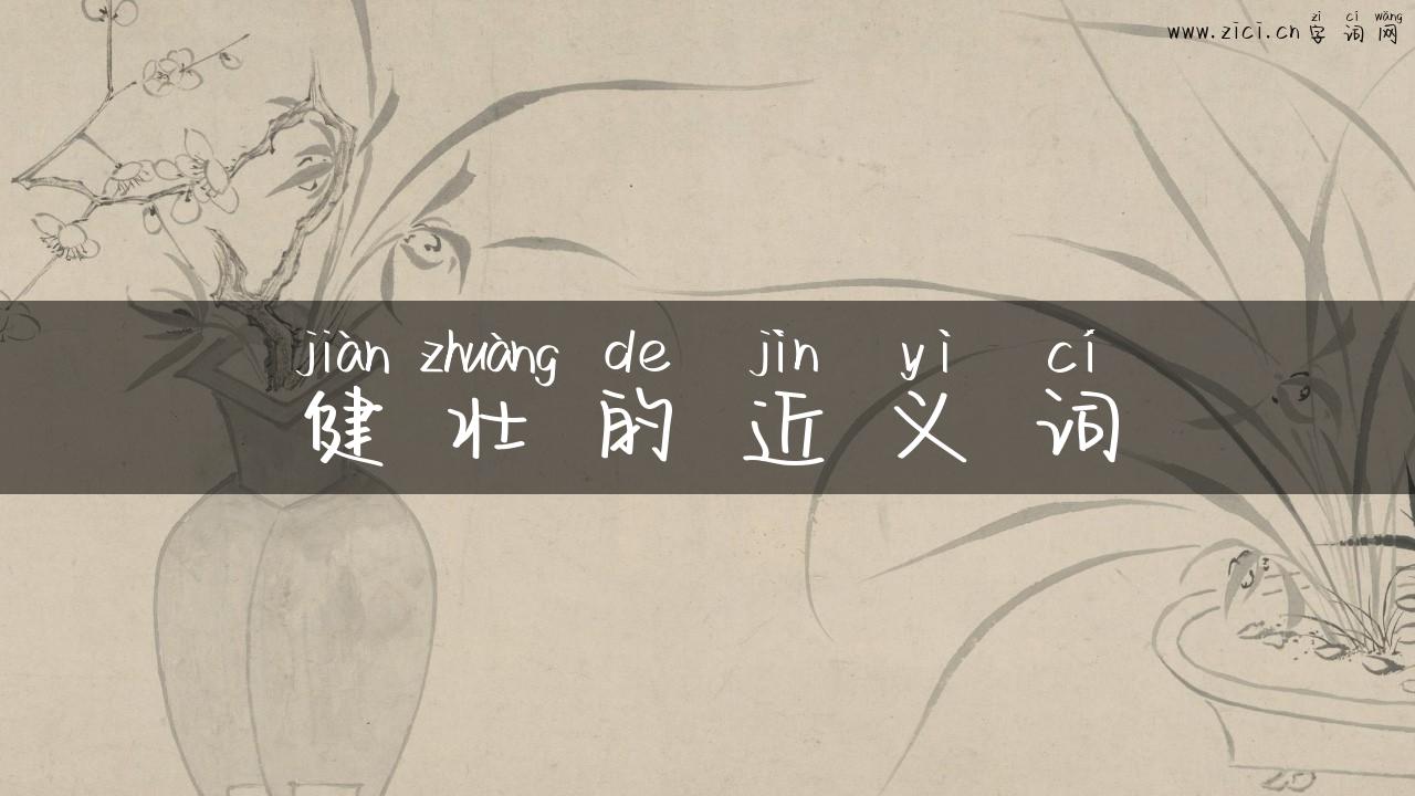 健壮的近义词