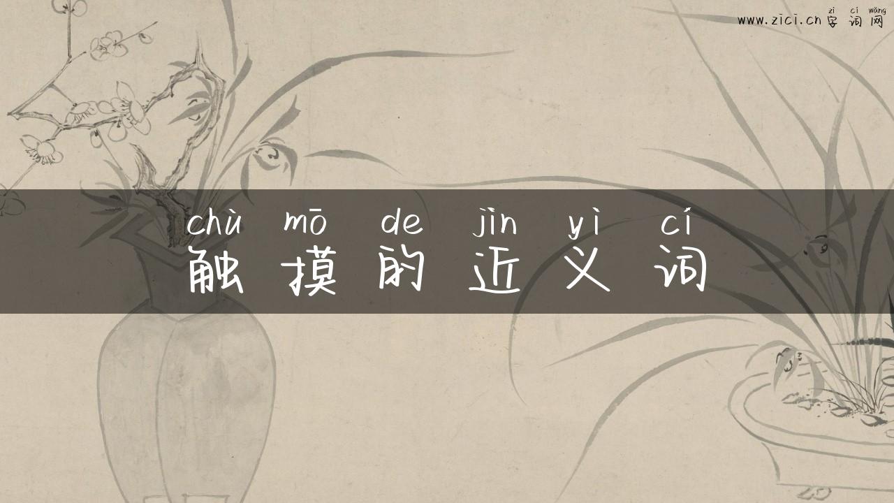 触摸的近义词