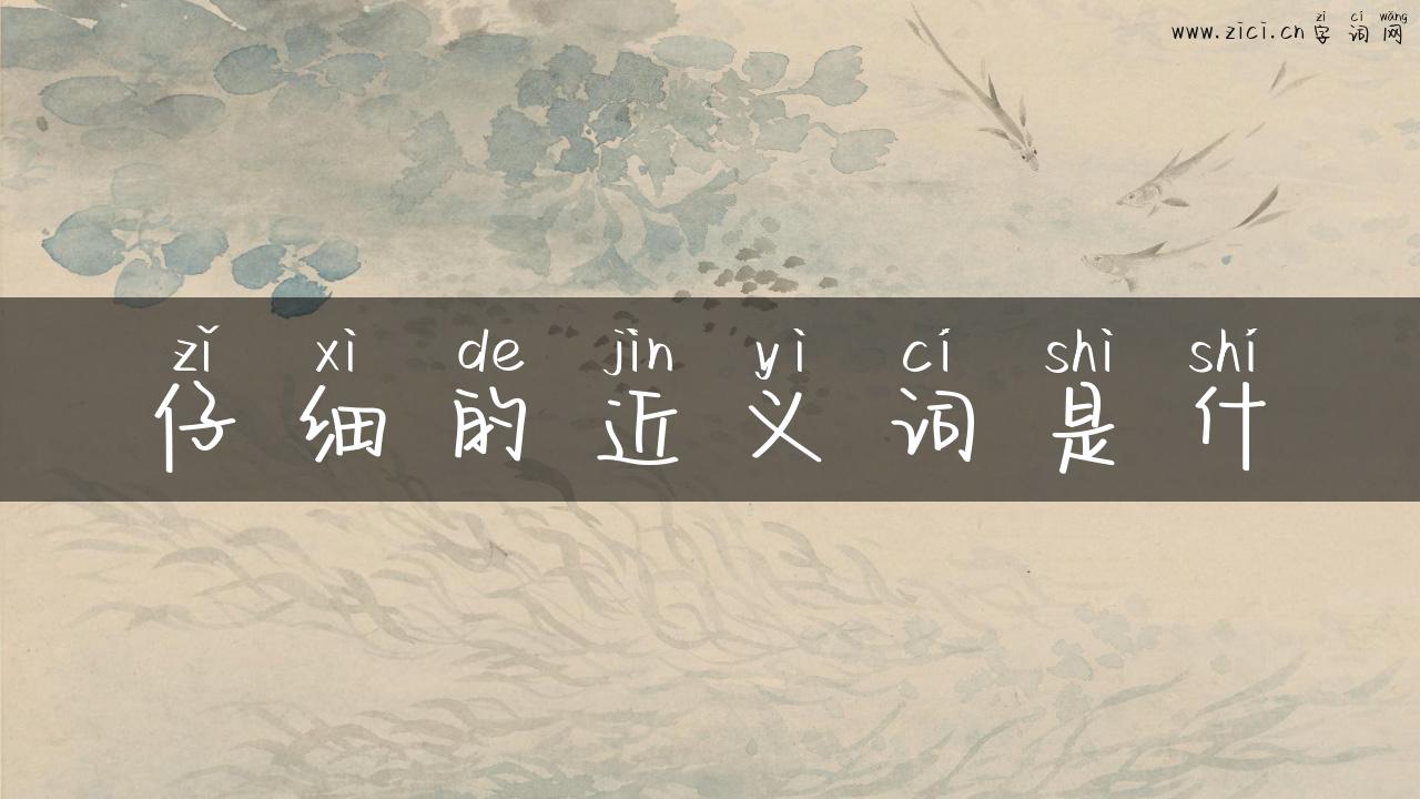 仔细的近义词是什