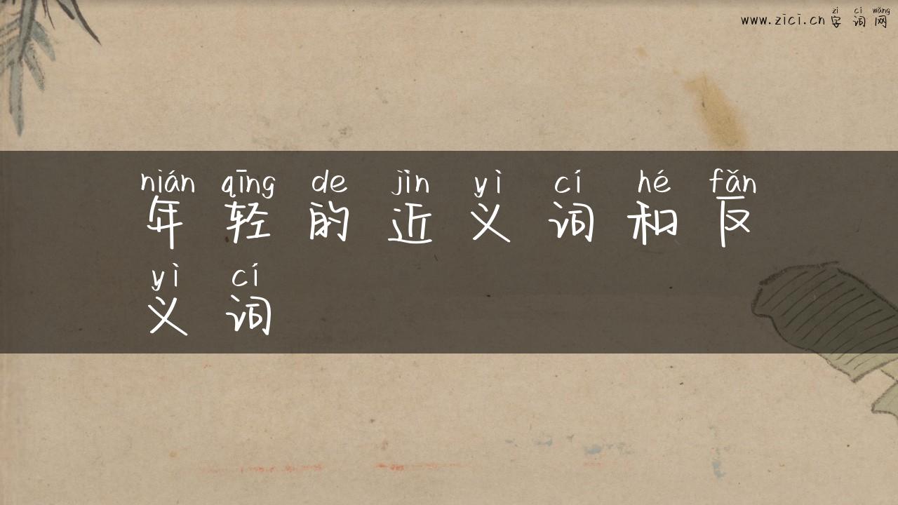 年轻的近义词和反义词