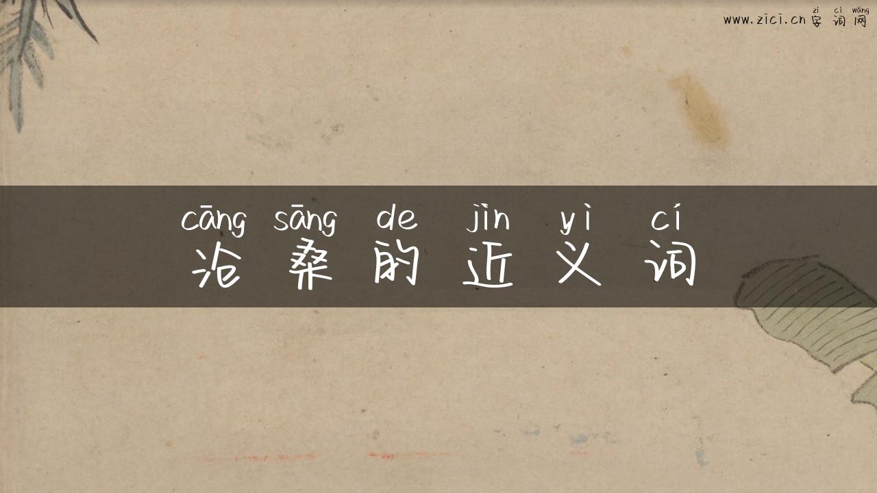 沧桑的近义词