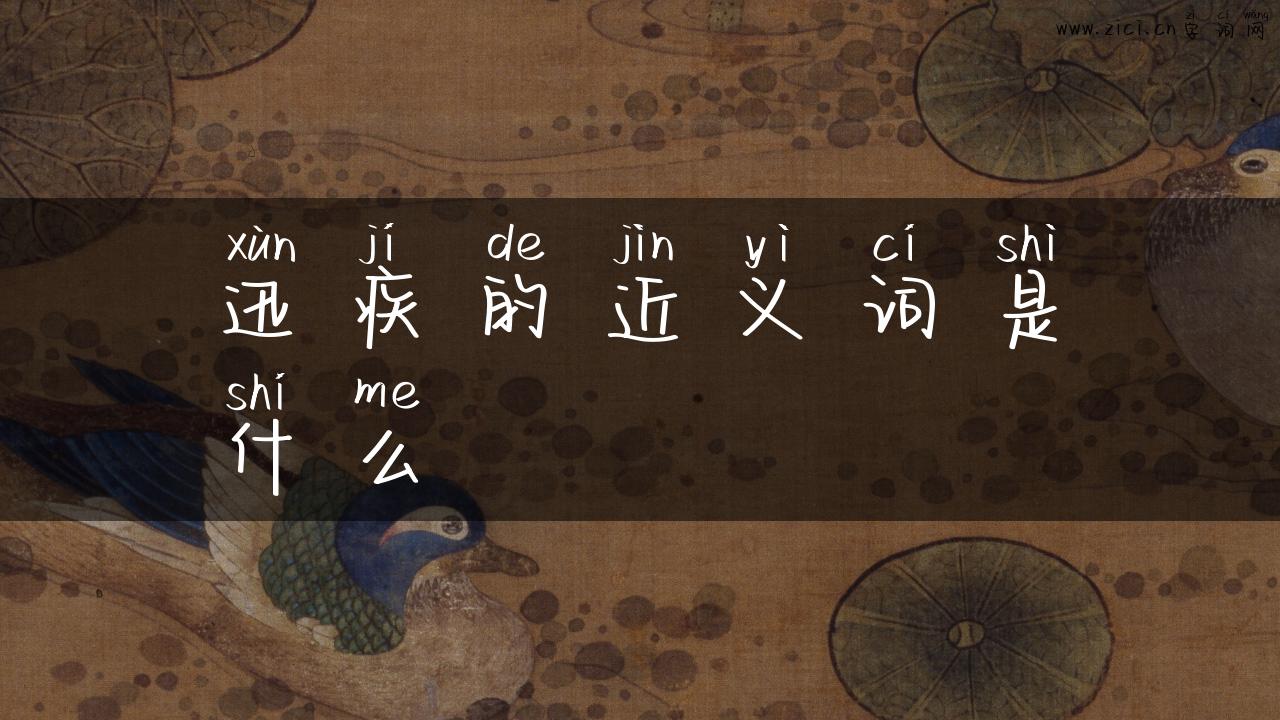 迅疾的近义词是什么